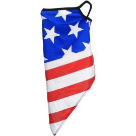 MASQUE FACIAL AVEC CONTOUR D'OREILLES 101 INC FLAG USA BIG STARS