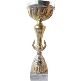 COUPE TROPHY GOLD/SILVER (28cm)